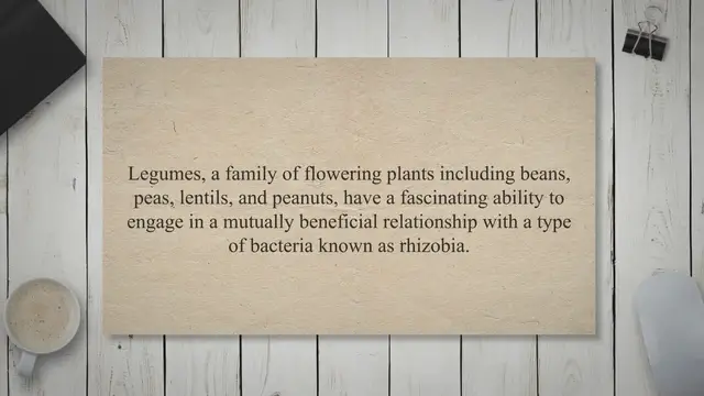 Video thumbnail for The symbiotic relationship between legumes and bacteria