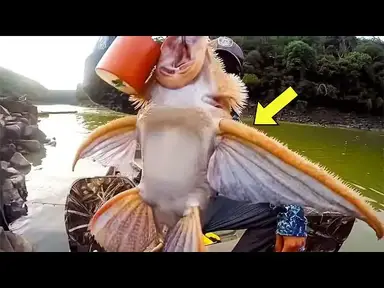 'Video thumbnail for Fisherman Catches Fish With Wings, Then Finds Out What It Really Is'