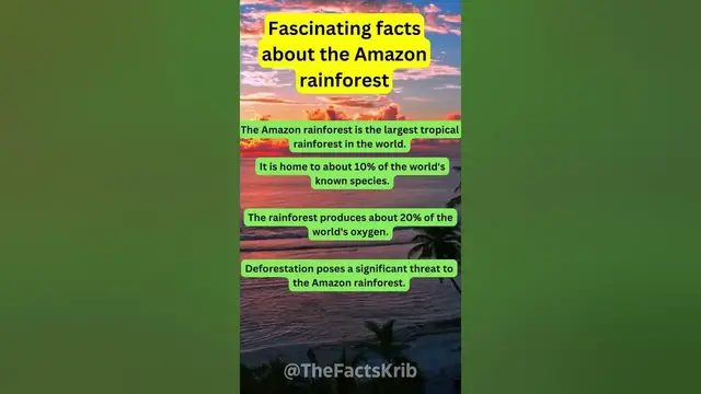 Video thumbnail for Fascinating Facts About The Amazon Rain Forest