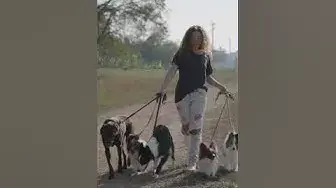 Video thumbnail for 5 Most Intelligent Dog Breeds and Their Abilities