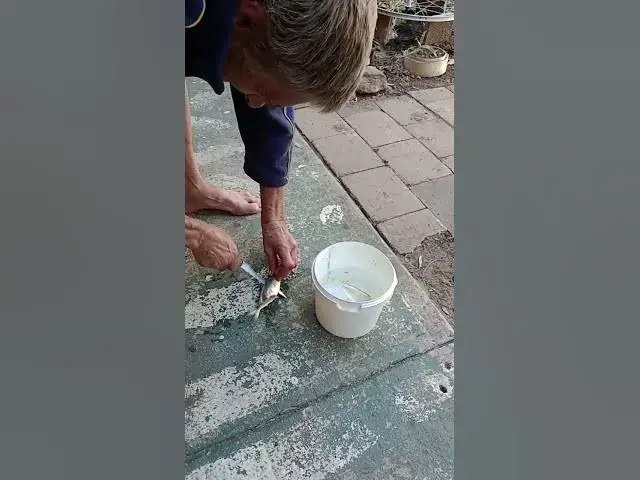 Video thumbnail for 27 October 2025