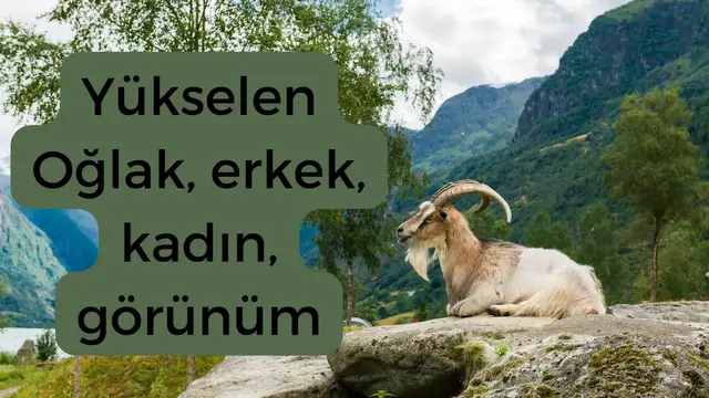 Video thumbnail for Yükselen Oğlak, erkek, kadın, görünüm