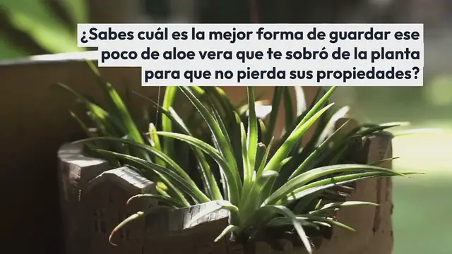 Video thumbnail for Cómo es mejor guardar el gel de aloe vera