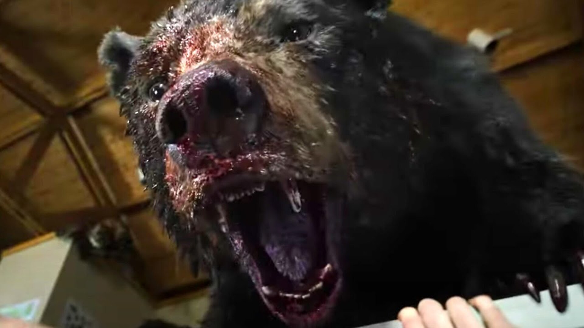 Video thumbnail for Cocaine Bear Pushes The Limits With This Controversial Scene