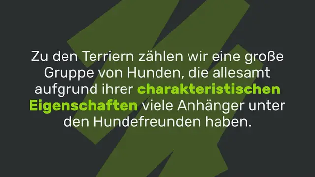 Video thumbnail for 14 beliebte Terrier Rassen (mit Bild)