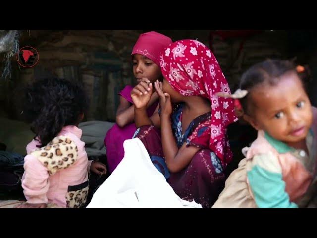 Video thumbnail for Displaced Yemenis in Taez Face Hunger with Tree Leaves