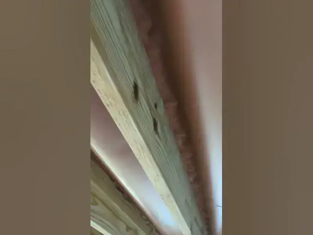 'Video thumbnail for Trex RainEscape FAILURE #diy #home #carpentry #trexrainescape'