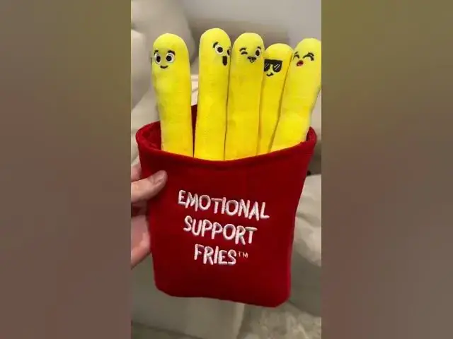 'Video thumbnail for These fries have 0 calories... 馃崯 link in my bio to buy from Amazon!! #emotionalsupport #relatable'