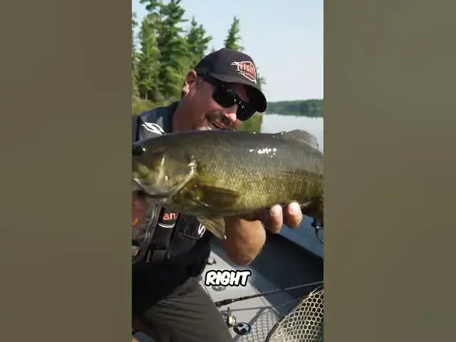 'Video thumbnail for How to catch "follow-up" smallmouth'