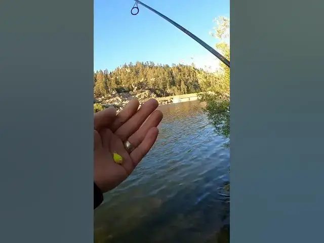 'Video thumbnail for Summer Trout Fishing Technique for Big Bear Lake'