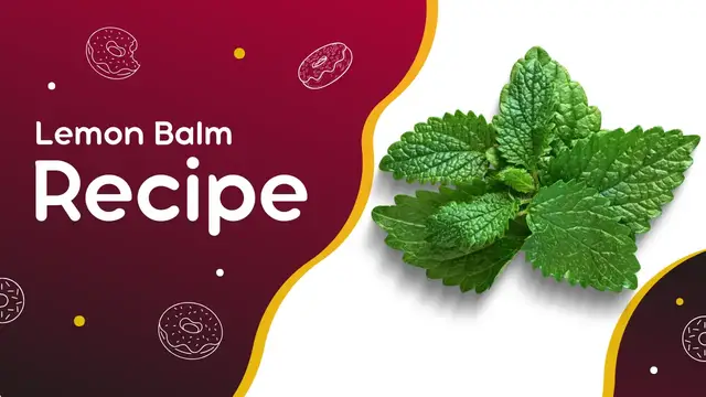 Video thumbnail for Simple Lemon Balm Tea Recipe