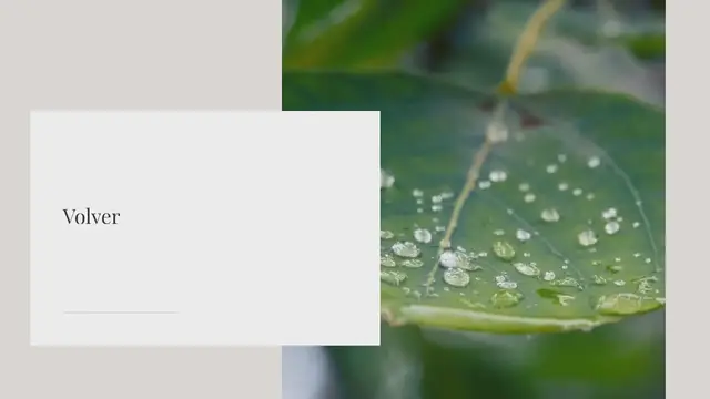 Video thumbnail for Microbioma vegetal y polímeros para el aprovechamiento del aguaLos seres humanos podemos sobrevivir con unos pocos sorbos de agua al día, pero el «agua que comemos” diariamente a través de los alimentos que consumimos es mucha más.