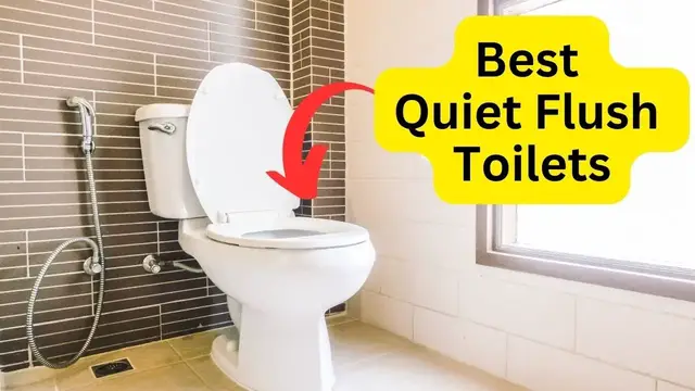Video thumbnail for Best Quiet Flush Toilets - All You Need To Know