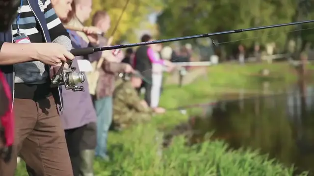 Video thumbnail for Persona 5 Royal Fishing Guide