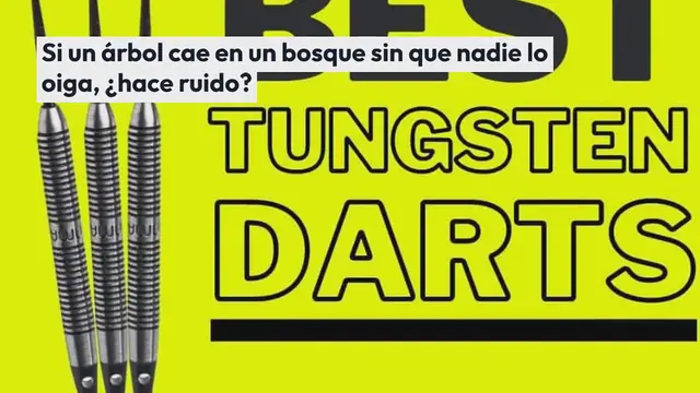 Video thumbnail for Reseña De La Diana Electrónica Gran Board Dash