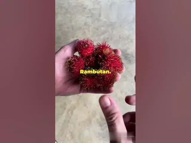 'Video thumbnail for Top 4 Unique fruits'