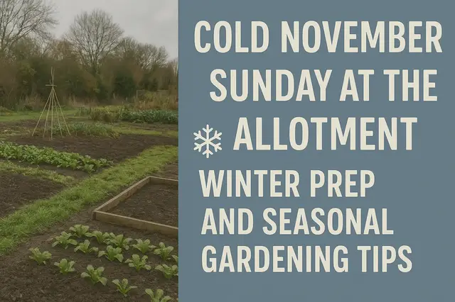 'Video thumbnail for Cold November Sunday at the Allotment: Winter Prep and Seasonal Gardening Tips'