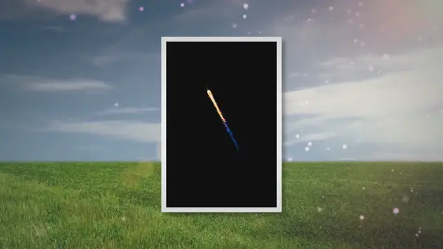 Video thumbnail for blue smoke succulent