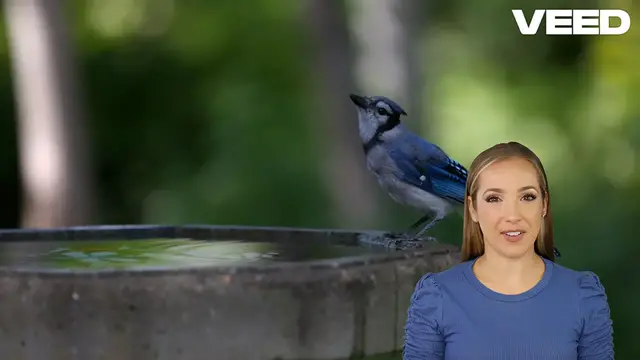 Video thumbnail for Discover 19 Biblical Meanings of Blue Jays