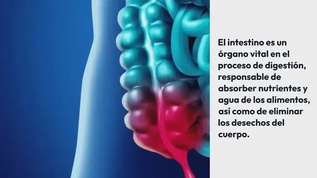 Video thumbnail for Aprende a preparar una purga casera para limpiar el intestino