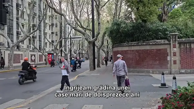Video thumbnail for Îngrijeam Grădina Unei Case Mari De Doisprezece Ani Când Noul Soț Al Stăpânei Casei M-a Umilit...