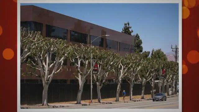 'Video thumbnail for The Best Time to Trim Trees in Southern California_ A Guide'