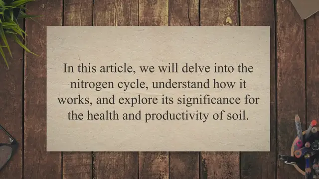 Video thumbnail for Nitrogen cycle and its importance in soil fertility