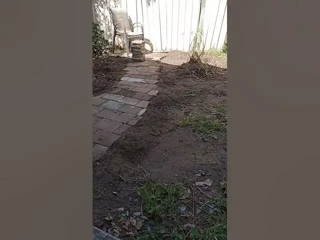 Video thumbnail for 27 October 2025