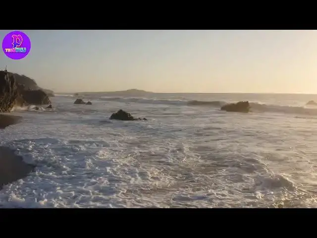 Video thumbnail for 𝐁𝐞𝐚𝐜𝐡 𝐒𝐡𝐨𝐫𝐭 𝐕𝐢𝐝𝐞𝐨 |