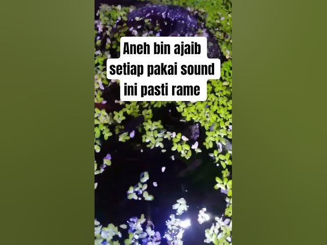 Video thumbnail for Apa yang kalian lihat