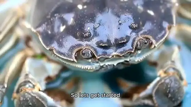 Video thumbnail for crab dip recipe