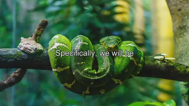 Video thumbnail for Top 7 Largest Pet Snakes Worldwide: Fascinating Serpents for Your Home