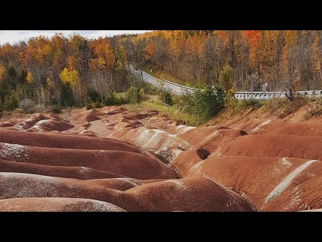 Video thumbnail for CALEDON TODAY