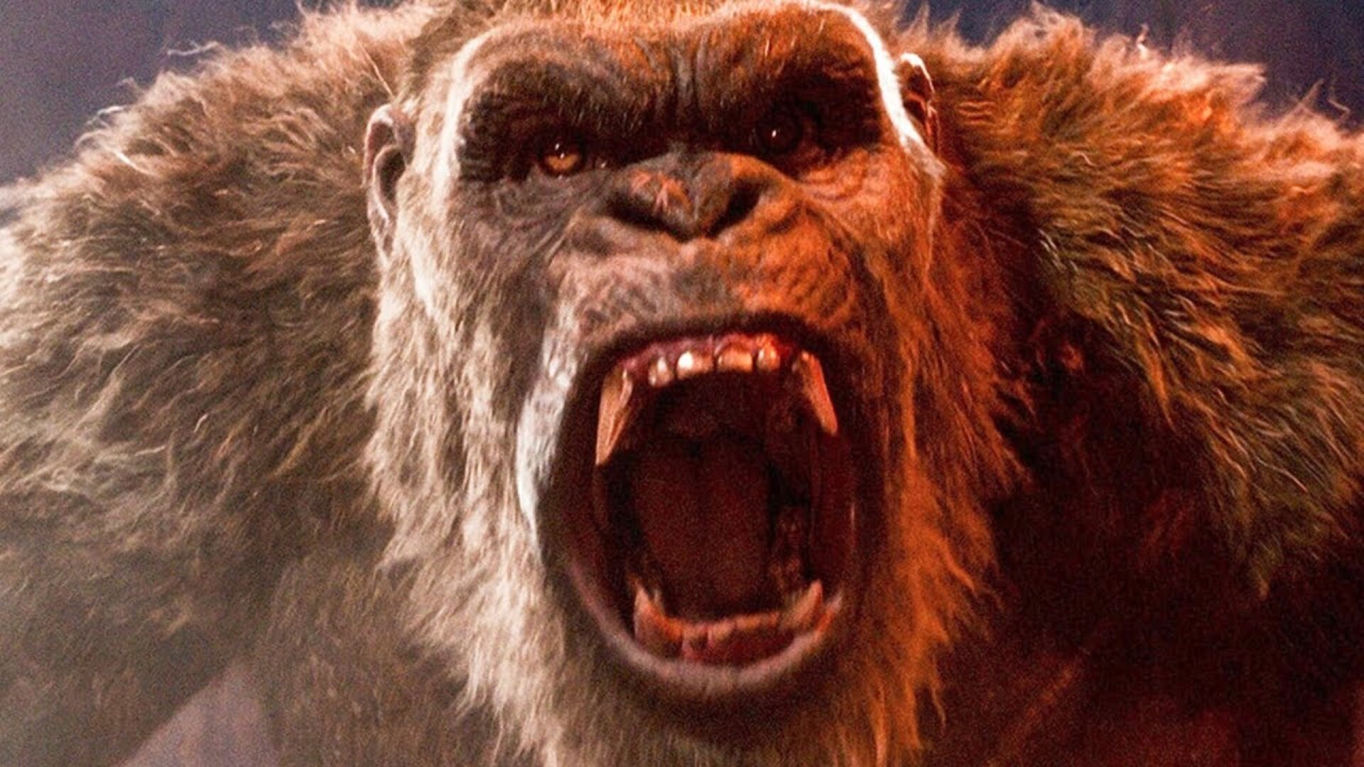 Video thumbnail for Small Details You Missed In Godzilla Vs. Kong