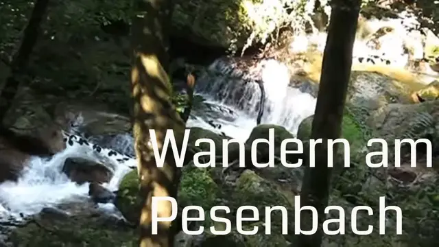 Video thumbnail for Wandern im Pesenbachtal bei Bad Mühllacken