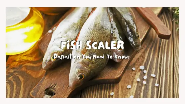 Video thumbnail for Fish Scaler Definition You Need To Know!