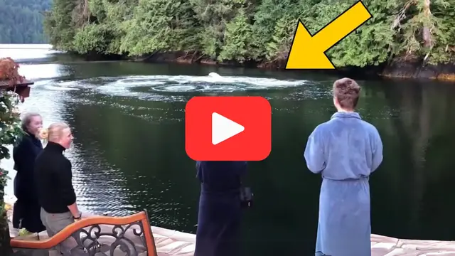 Video thumbnail for Mysterious Circles Appear in the Pool—Then Chaos Erupted