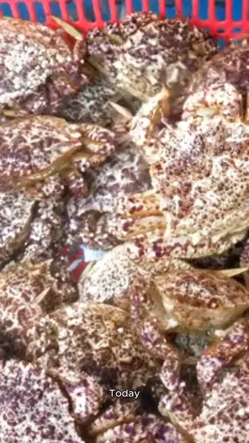 'Video thumbnail for CRAB RECIPE'