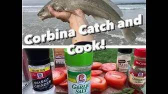 'Video thumbnail for Corbina Fishing: Catch and Cook a Big Corbina!'