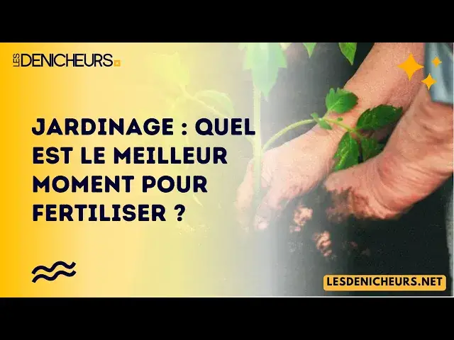 Video thumbnail for Jardinage : quel est le meilleur moment pour fertiliser ?