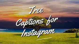 Video thumbnail for Tree Captions and Quotes for Instagram