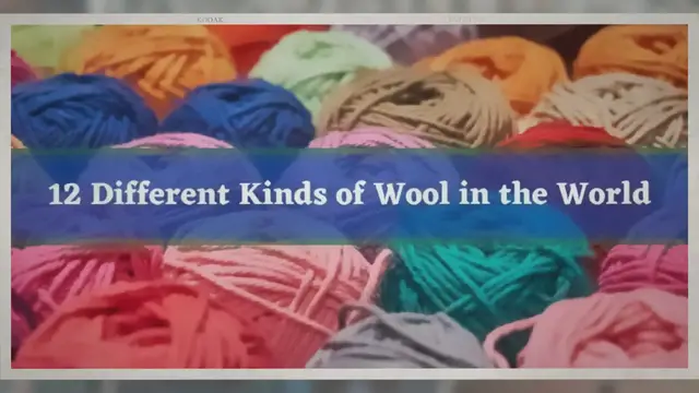 'Video thumbnail for Different Kinds of Wool in the World'