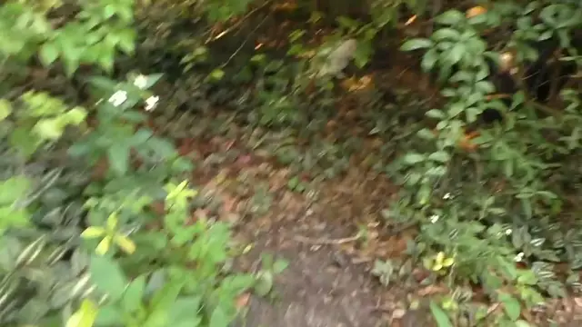 Video thumbnail for Gato se convierte en la mejor compañía de una niña con discapacidad