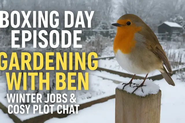 'Video thumbnail for Boxing Day Episode of Gardening with Ben'