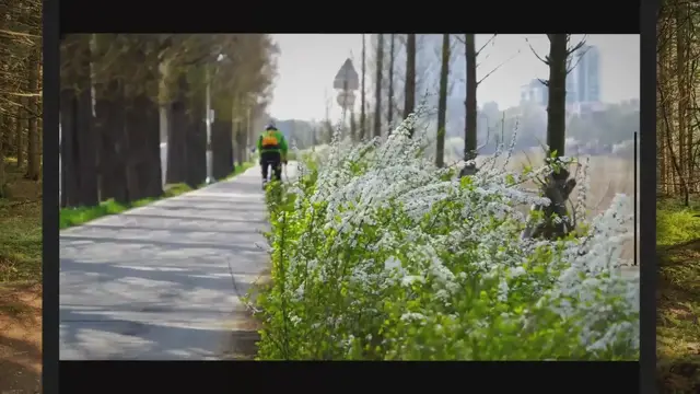 'Video thumbnail for How Long Does it Take To Bike 1 Mile?'