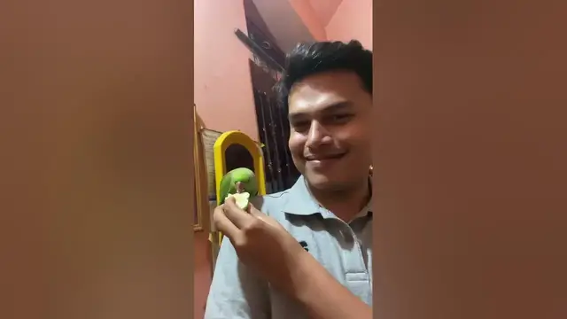 Video thumbnail for Parrot