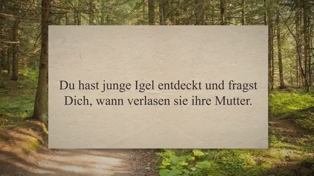 'Video thumbnail for Wann verlassen Igel ihre Mutter?'