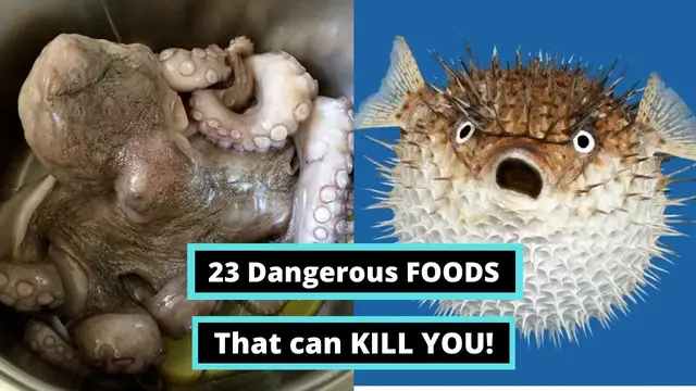 Video thumbnail for 23 Most dangerous foods in the World | San-nakji, Pufferfish, Red Bean Seeds, Oysters and more