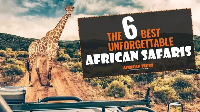 Video thumbnail for The 6 Best  unforgettable African  Safaris | African Vibes