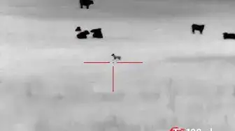 Video thumbnail for Using coyote hunting to protect your farm